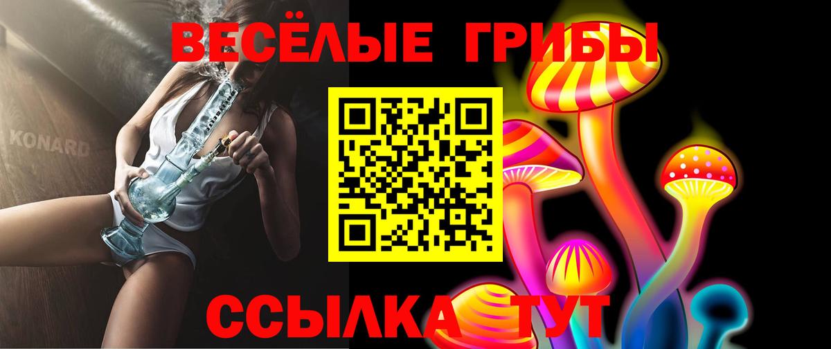 Псилоцибиновые грибы MAGIC MUSHROOMS Пушкино