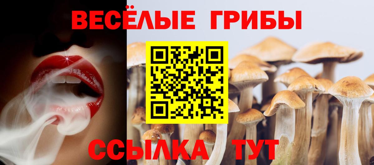 Галлюциногенные грибы Psilocybine cubensis  Вход с VPN  Пушкино 